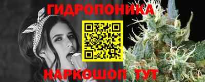 каннабис Славгород
