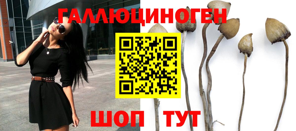 сколько стоит  Псилоцибиновые грибы мицелий  Вход с VPN  Аксай 